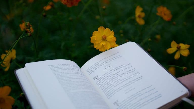 Los Angeles Times Festival of Books