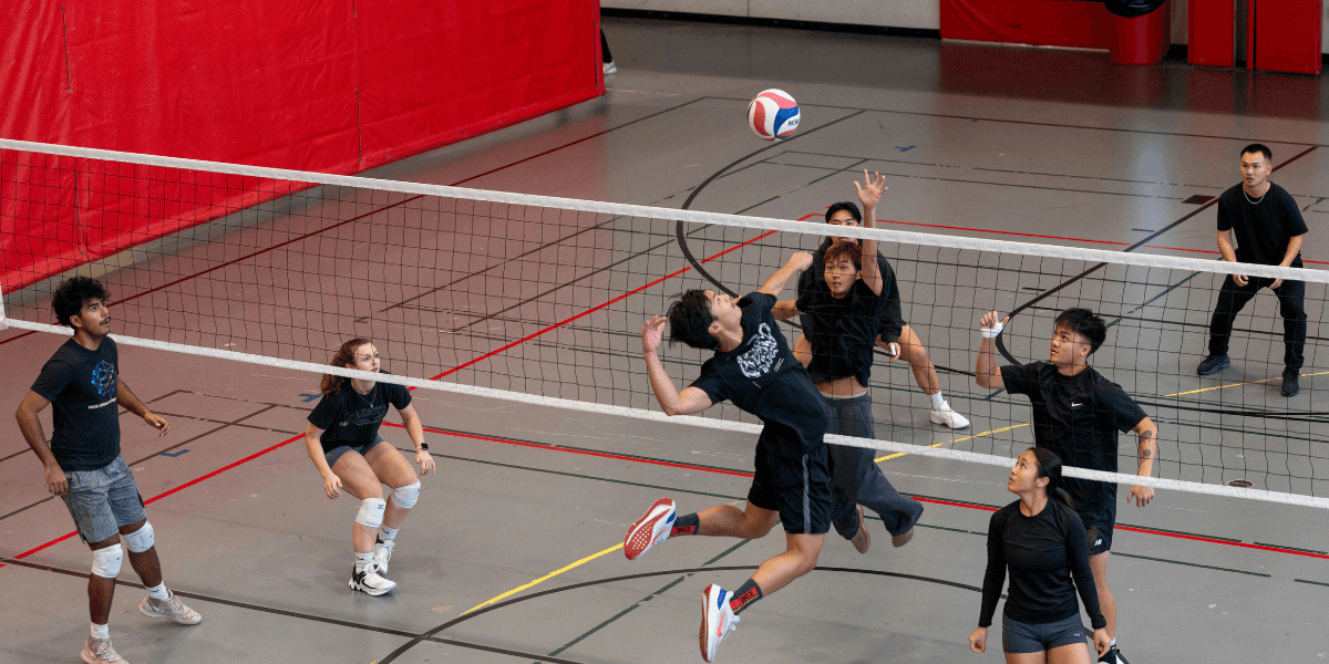 Volleyball players in action during a match on a gym court