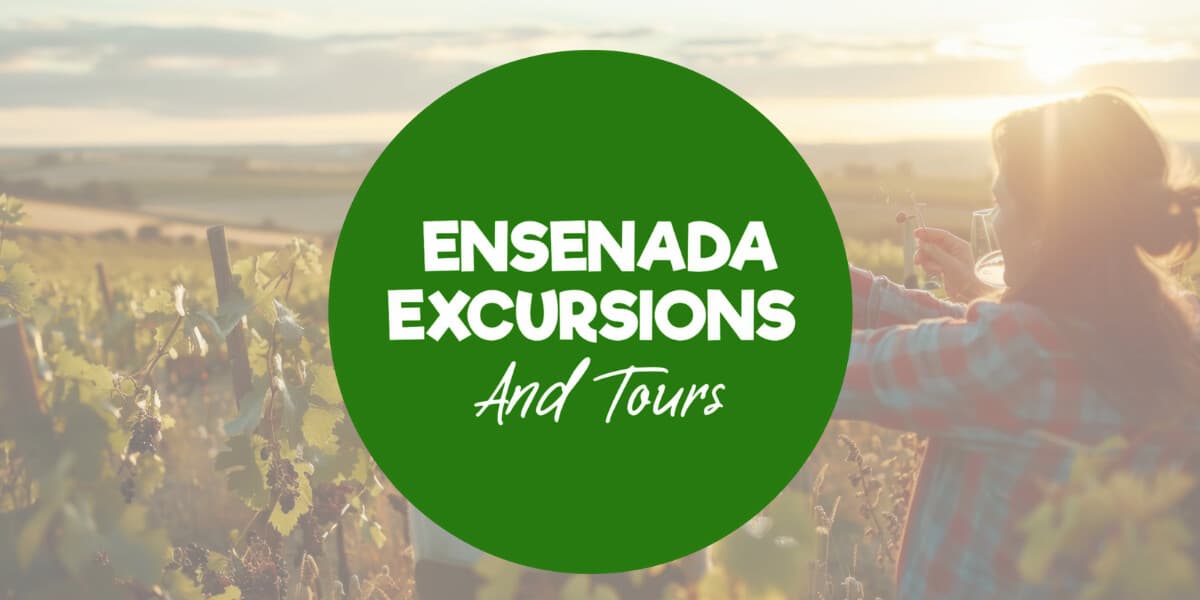 Vineyard view in Valle de Guadalupe, showcasing Ensenada Excursions and Tours, offering personalized private wine tours in Baja.