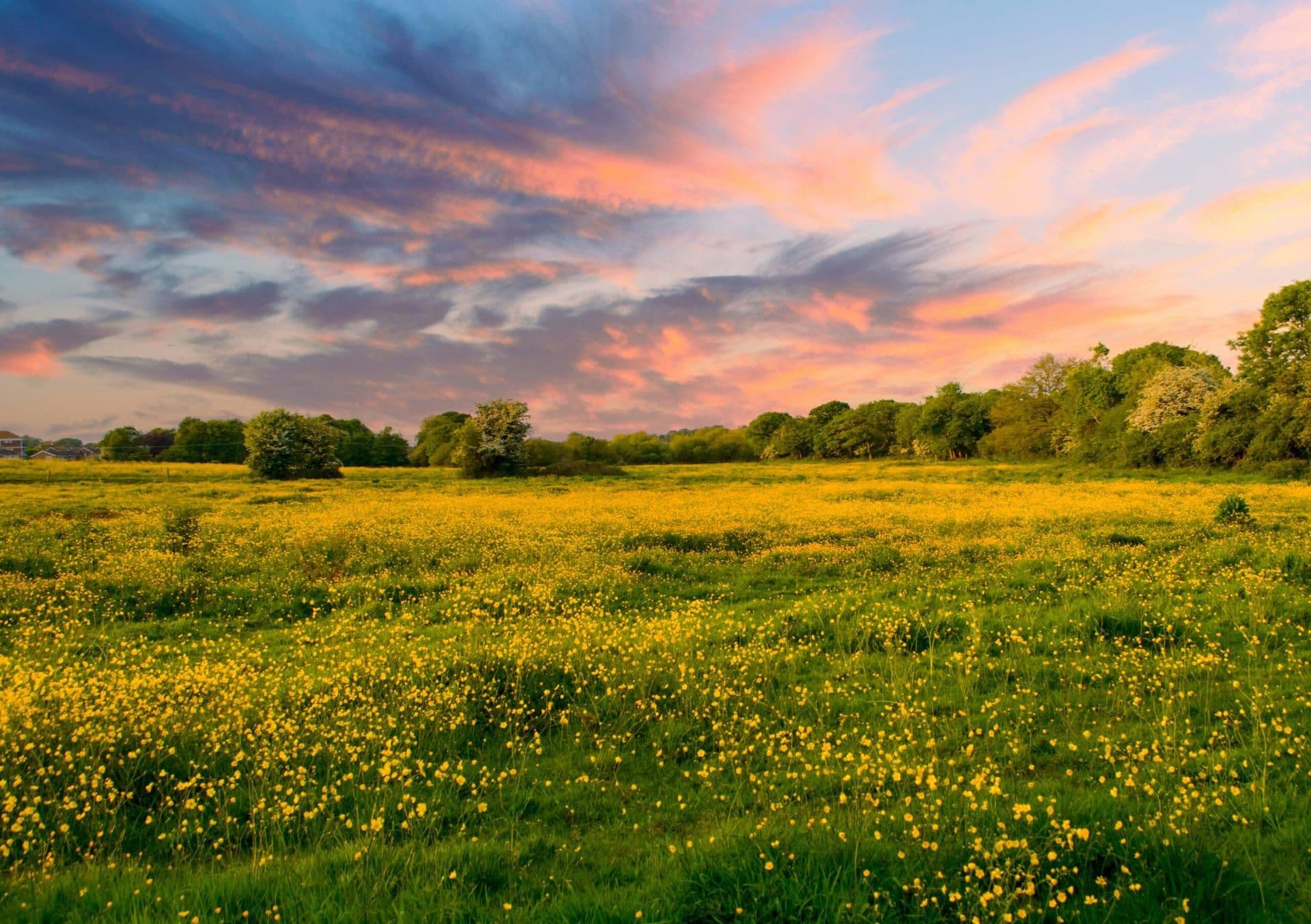 How Southern California Became a Global Hub for Wellness and Sustainability