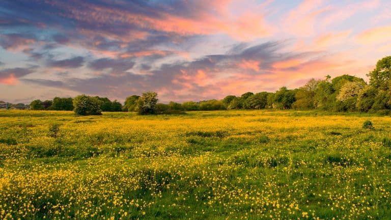 How Southern California Became a Global Hub for Wellness and Sustainability