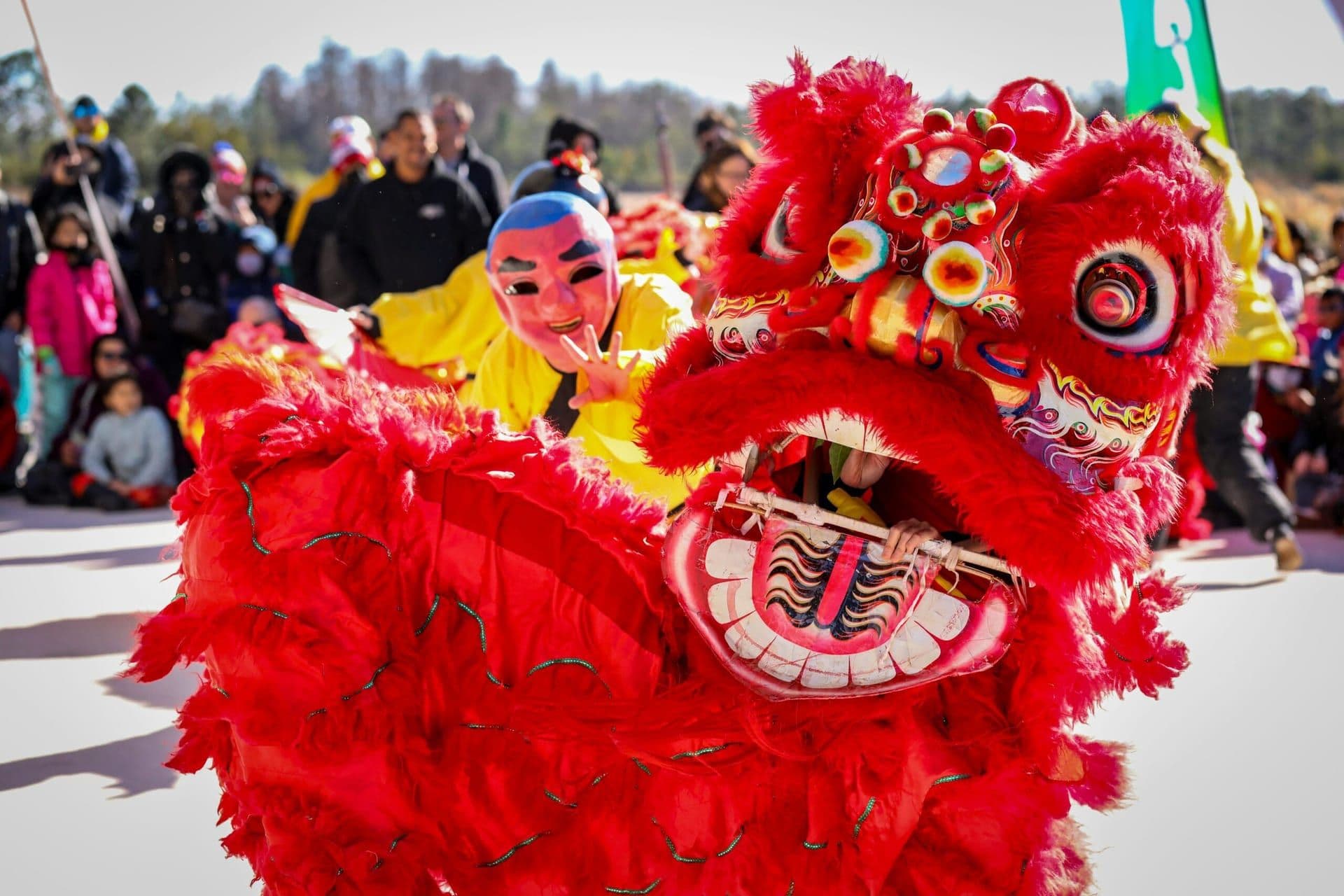 40th Annual San Diego Chinese New Year Fair