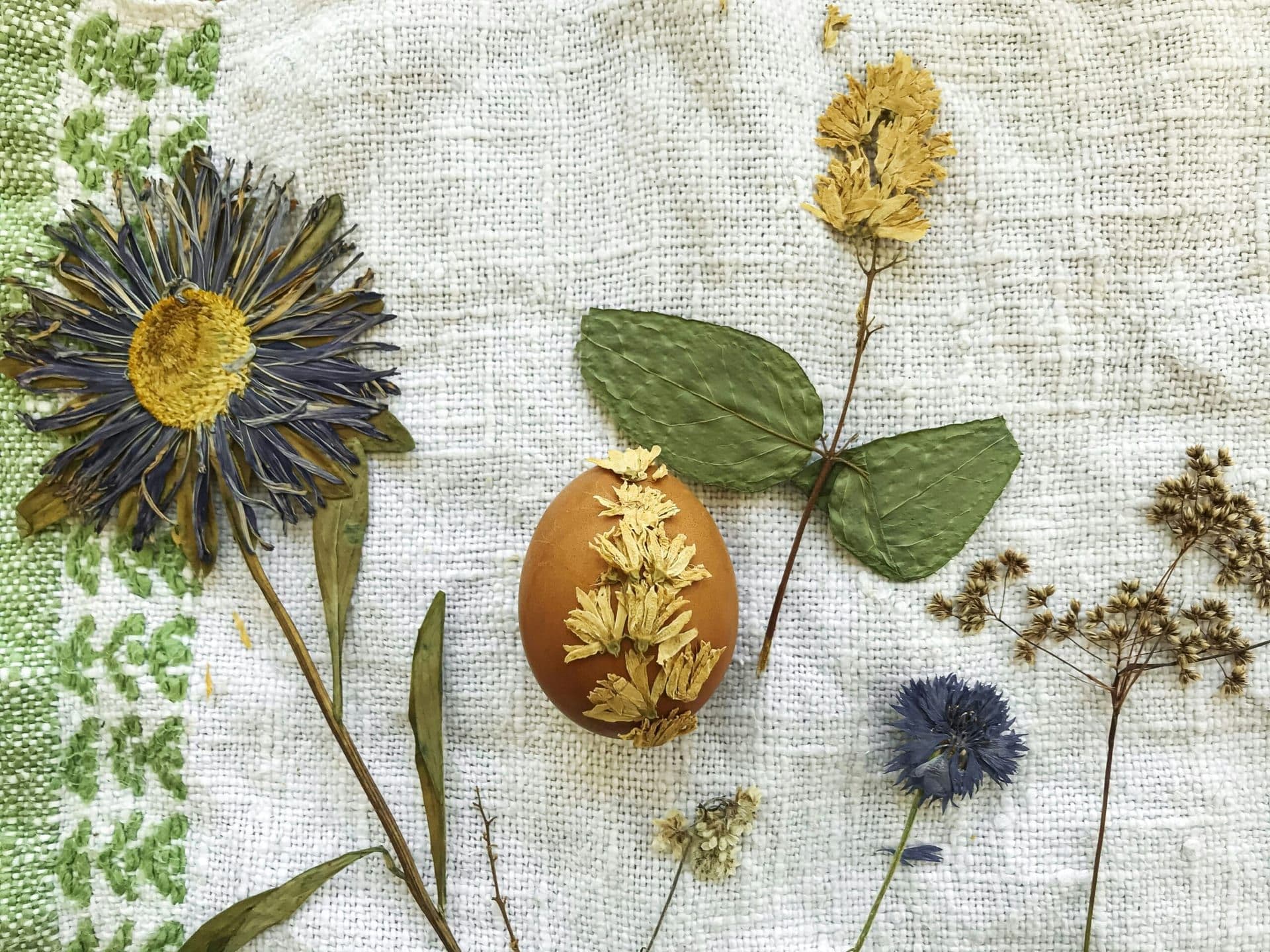 Exploring the Intersection of Art and Sustainability in the SoCal Design Scene