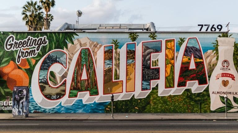Reviving Wellness: Southern California’s Rise as the Wellness Capital