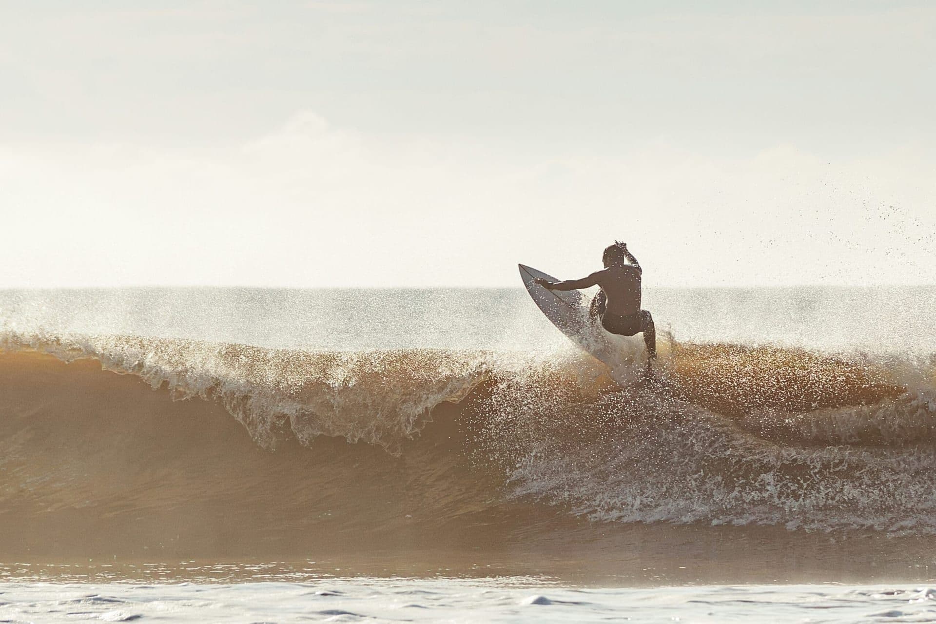 Doheny Surf & Art Festival: A Celebration of Surf Culture and Creativity