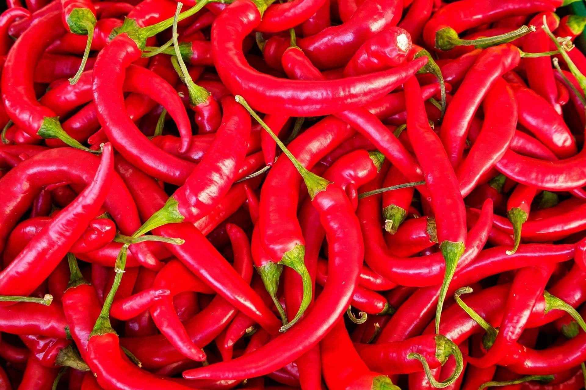 Tustin Street Fair & Chili Cook-Off