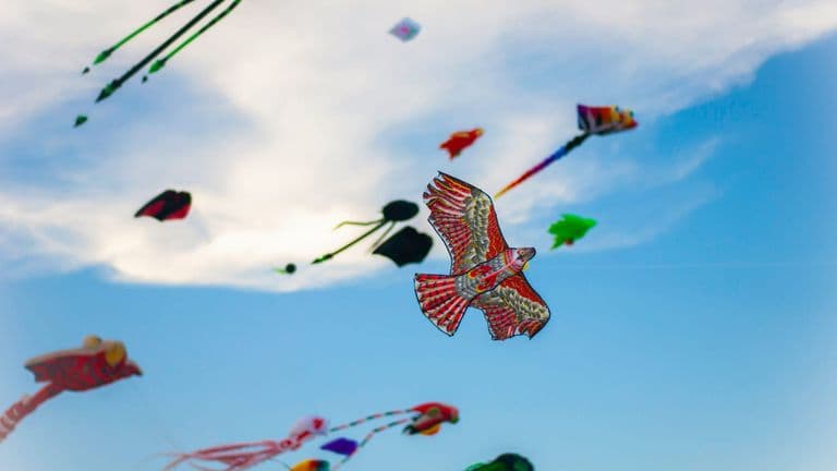 3rd Annual Community & Unity People’s Kite Festival