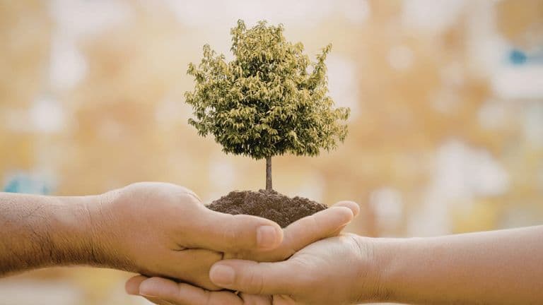 Southern California Communities Come Together for Coastal Care, Arts, and Local Connection