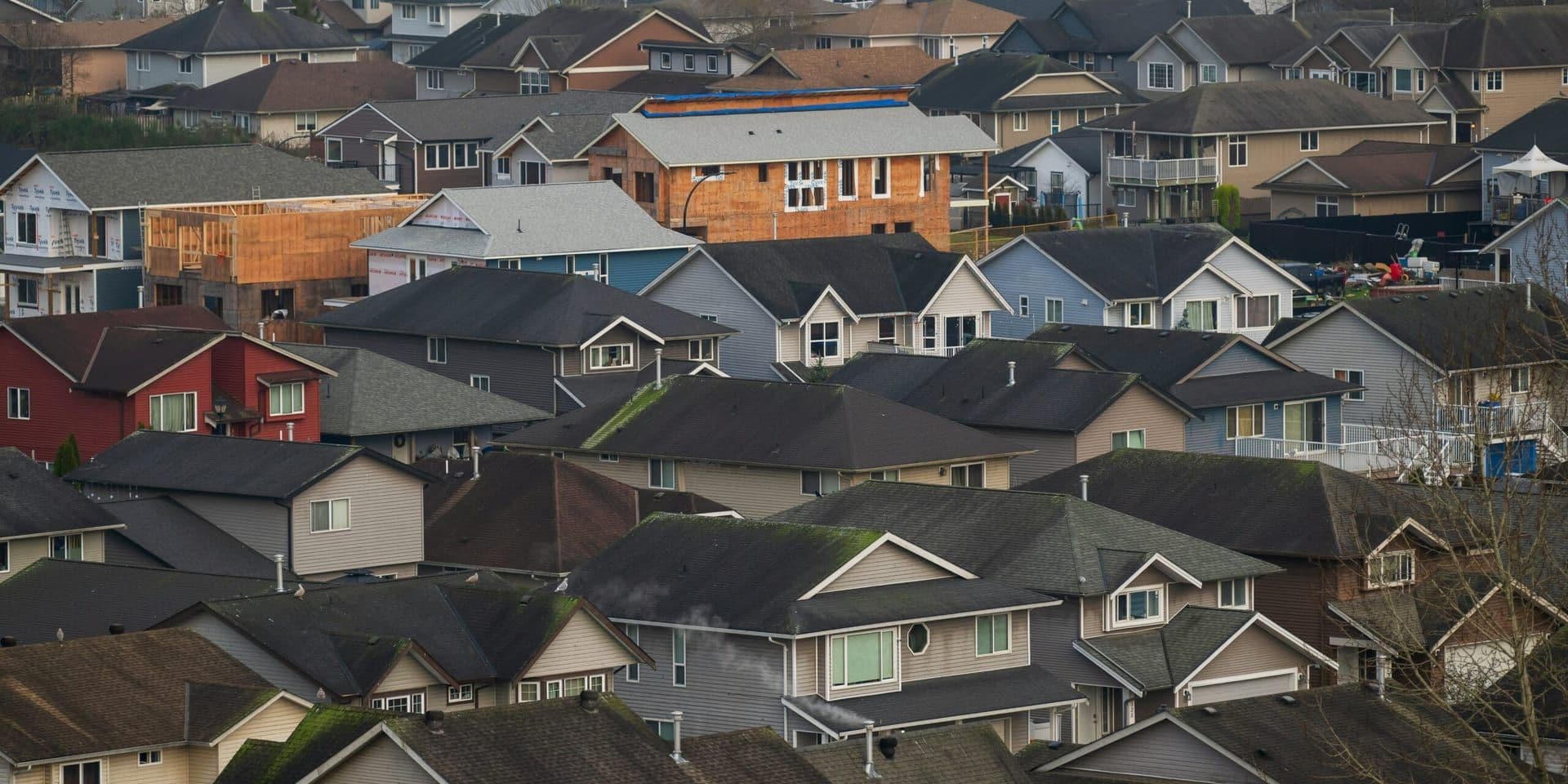 Experts Highlight Signs of Renewed Activity in U.S. Housing Market in Early 2026