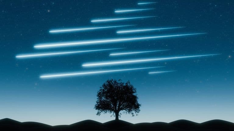 Perseid Meteor Shower 2025: How to See ‘Shooting Stars’ Despite the Full Moon
