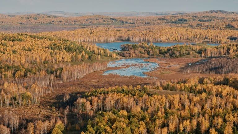 Historic Banning Ranch to Become Coastal Nature Preserve, Open to Public by 2027