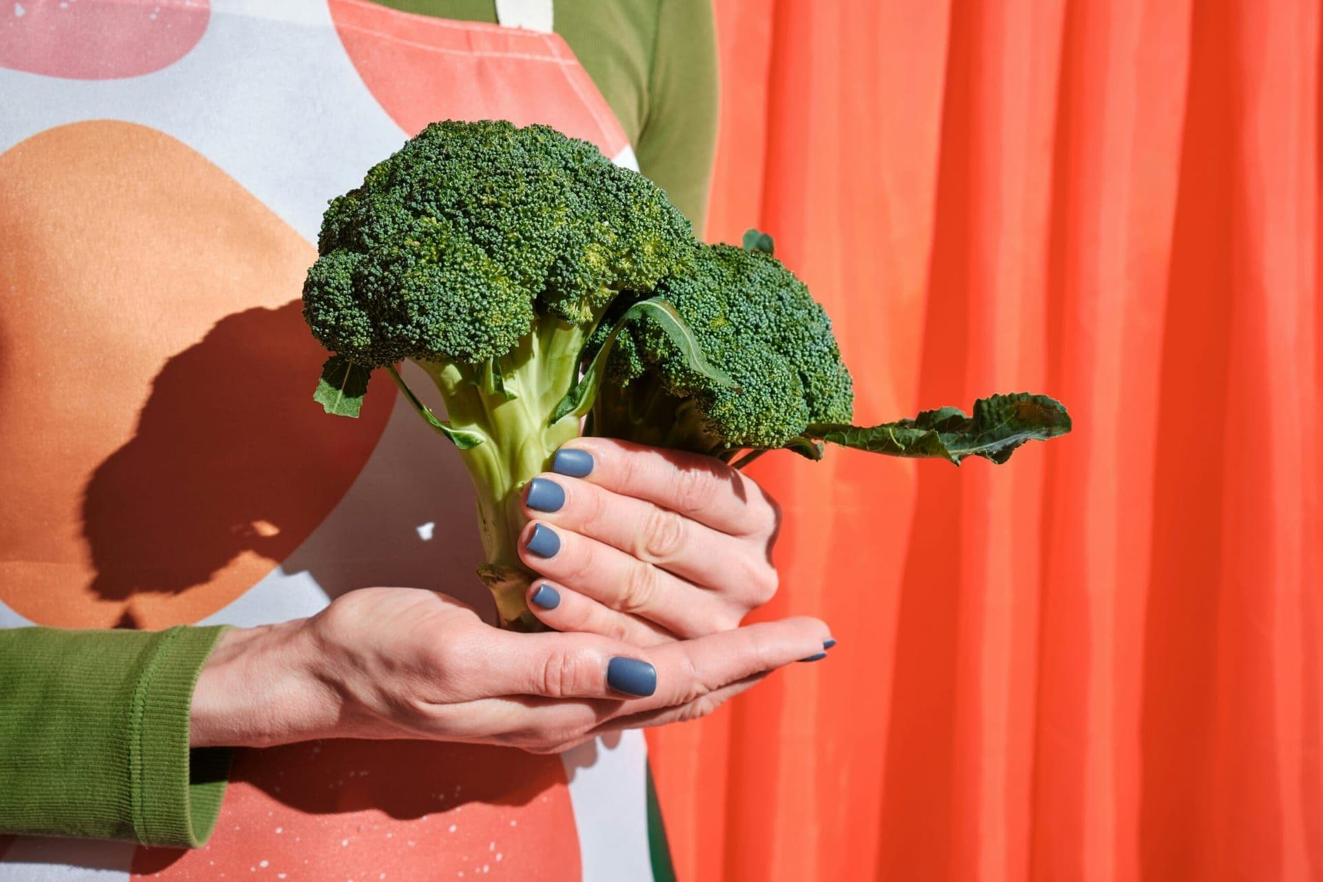 Vegan Food Scene in Los Angeles: A Journey Through Plant-Based Innovation