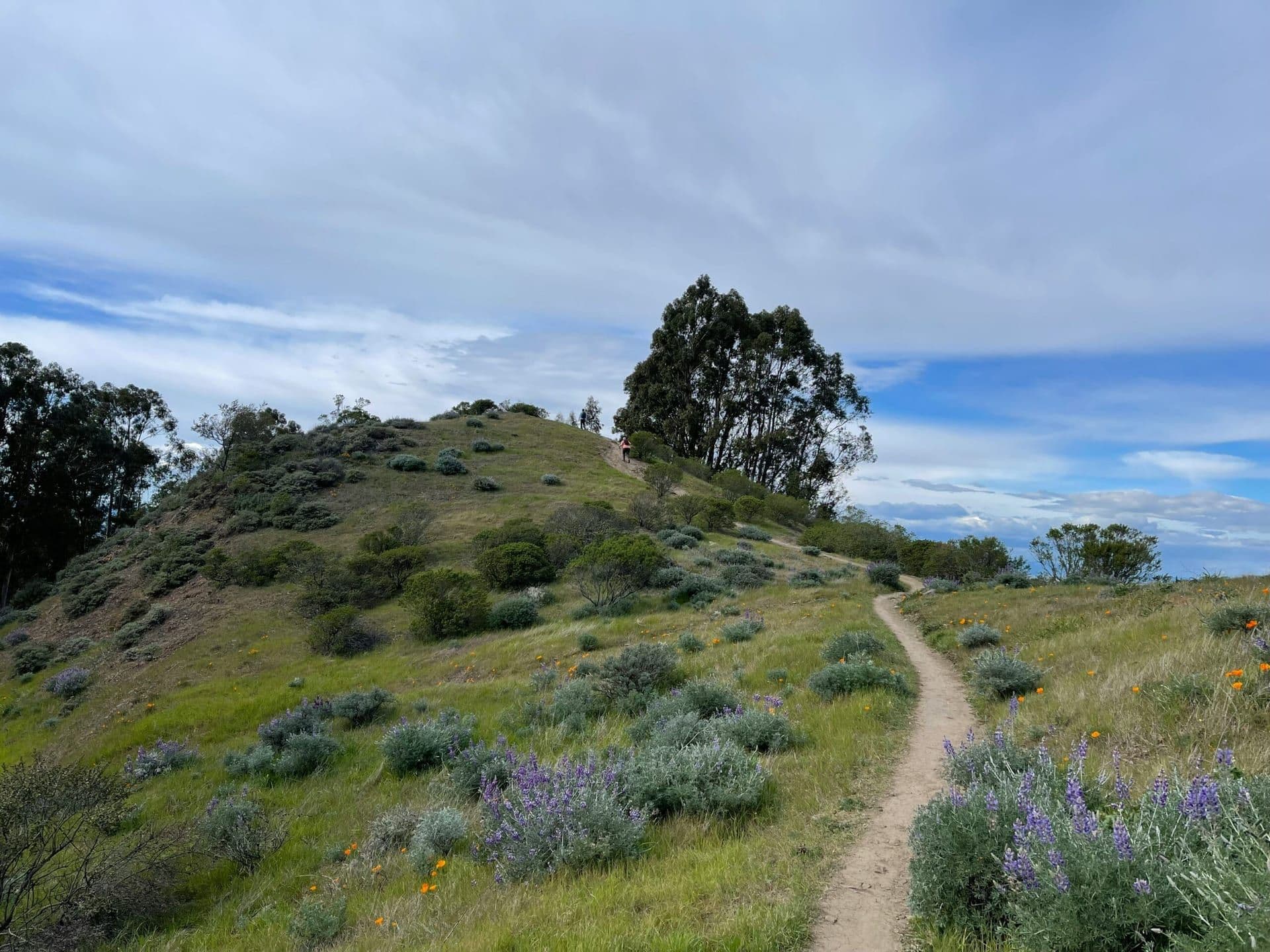 A Journey Through Southern California’s Hidden Hiking Trails