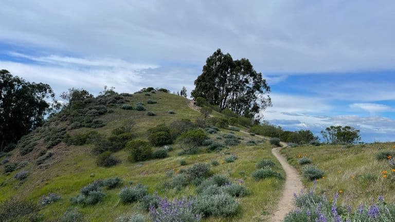 A Journey Through Southern California’s Hidden Hiking Trails