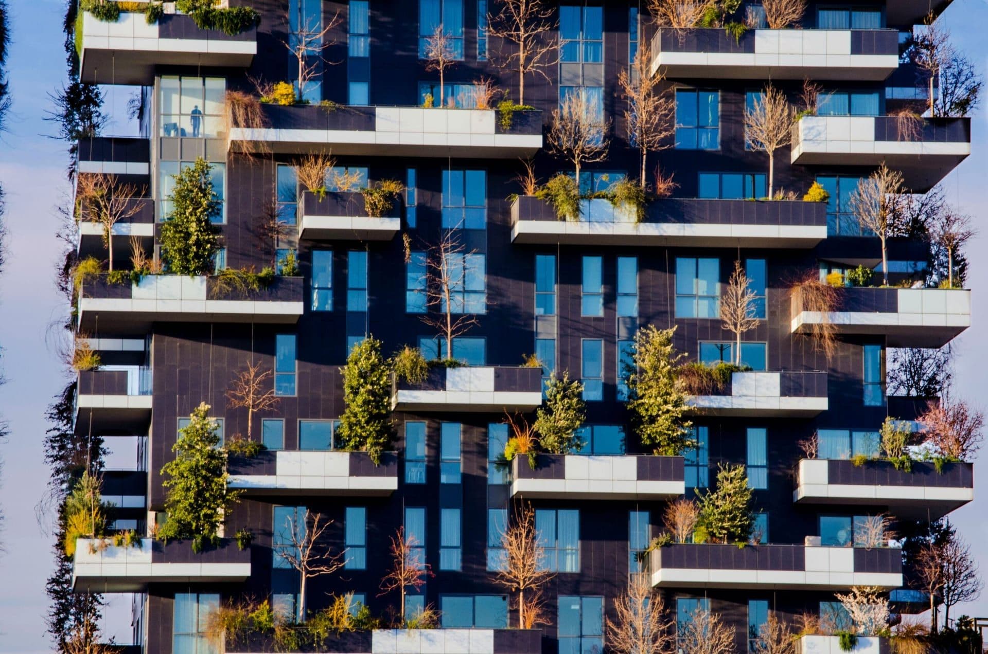 The Rise of Eco-Conscious Buyers: Sustainable Features in 2024 Housing Market