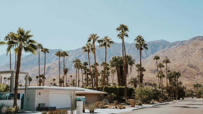 Modernism Week Sets New Attendance Record in Palm Springs, Drawing Over 130,000 Visitors