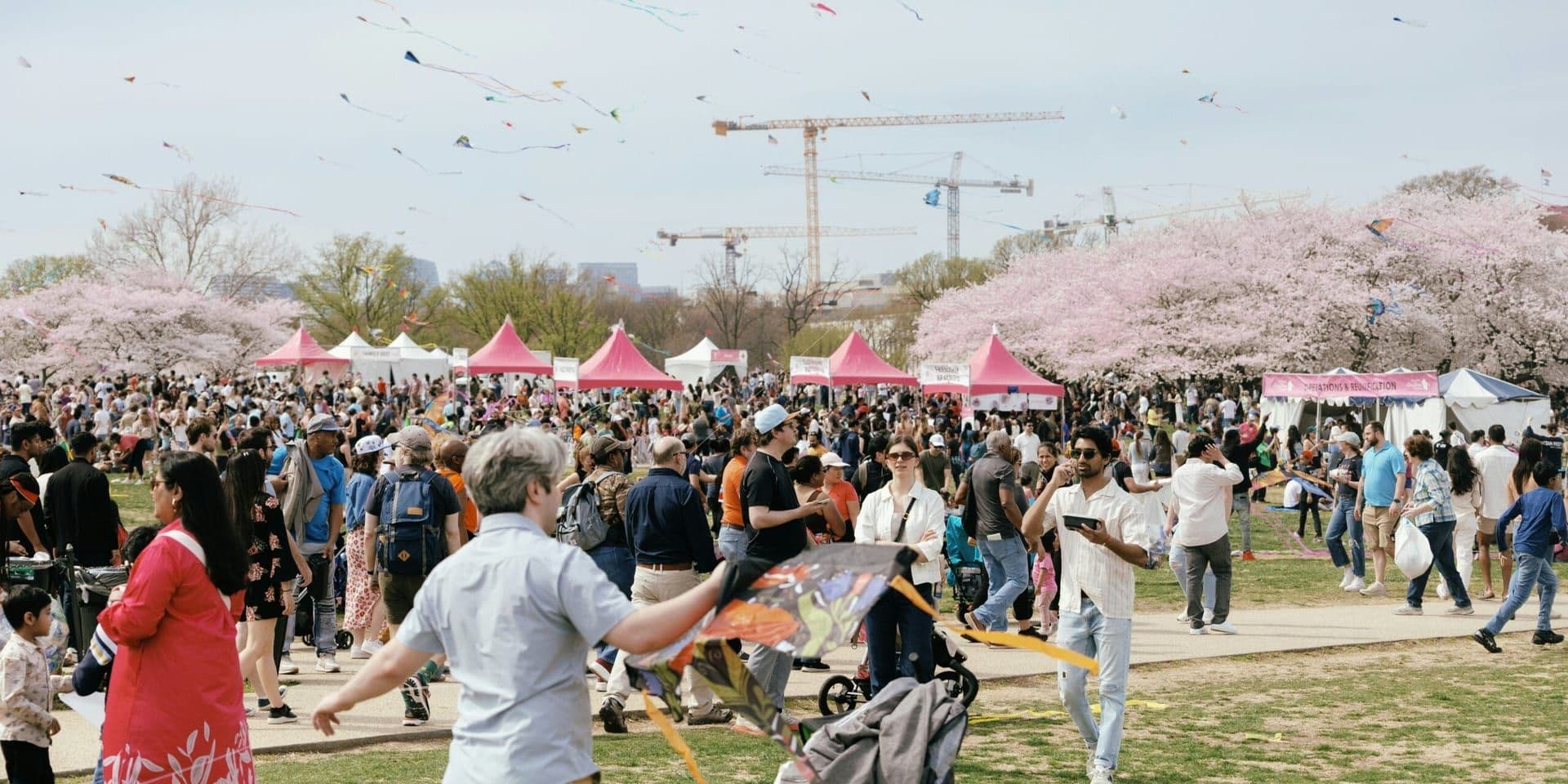 Los Altos Arts and Wine Festival 2025