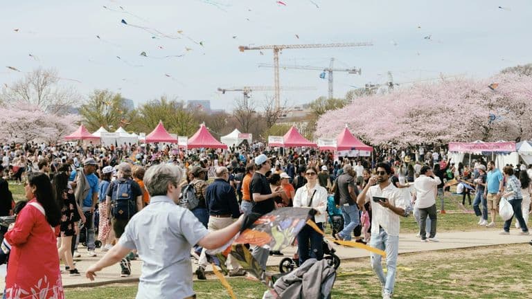 Los Altos Arts and Wine Festival 2025