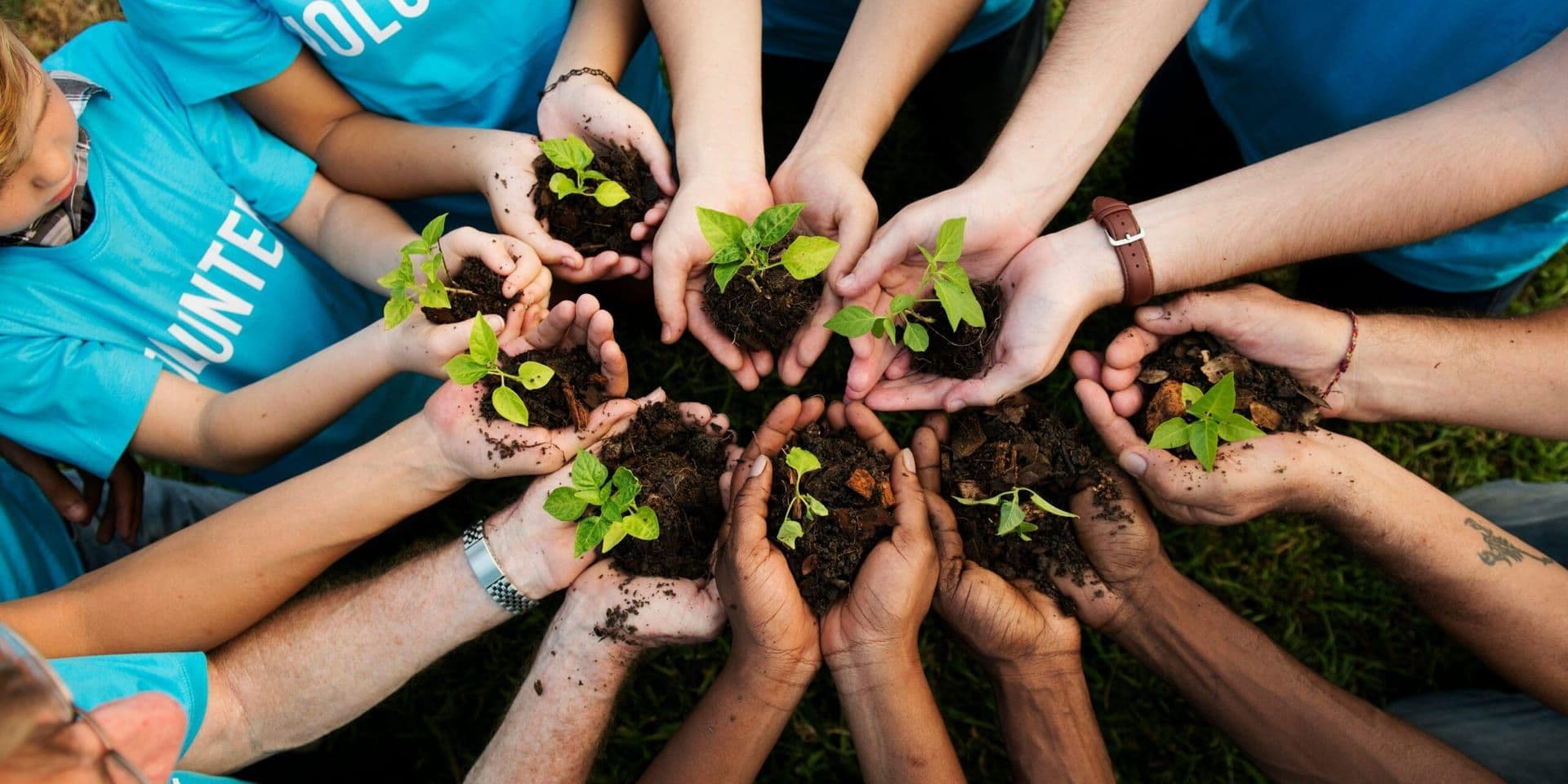 Southern California Embraces Sustainable Living with Innovative Initiatives