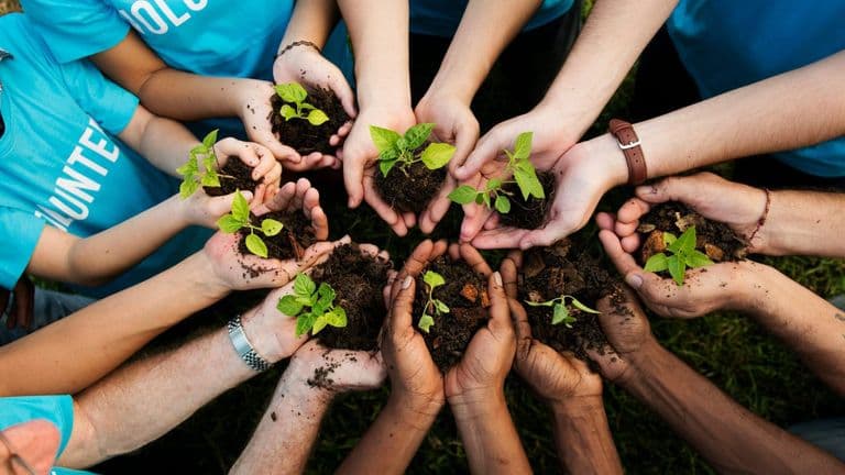 Southern California Embraces Sustainable Living with Innovative Initiatives