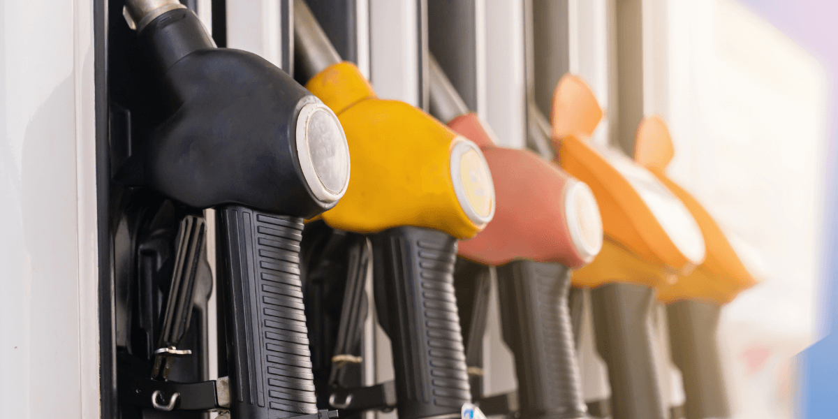 Gas Price Surge, Cultural Highlights, and Local Achievements on