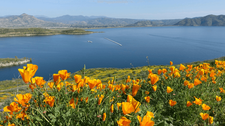 Southern California Today: March 22, 2026
