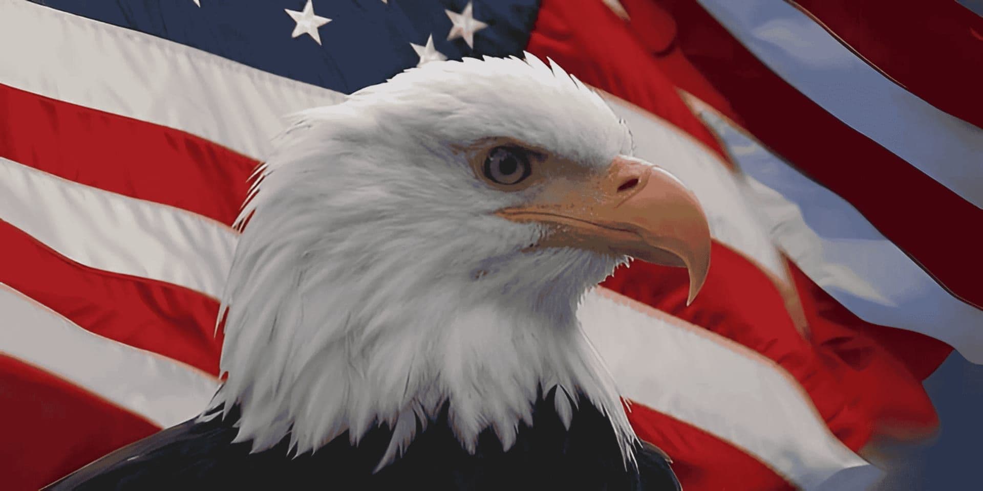 Dnna standard image ( 1200 x 600 ) (22)