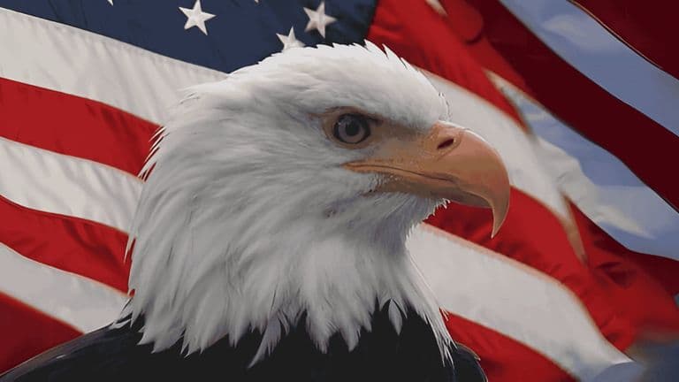 Dnna standard image ( 1200 x 600 ) (22)