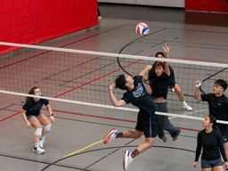 Volleyball players in action during a match on a gym court