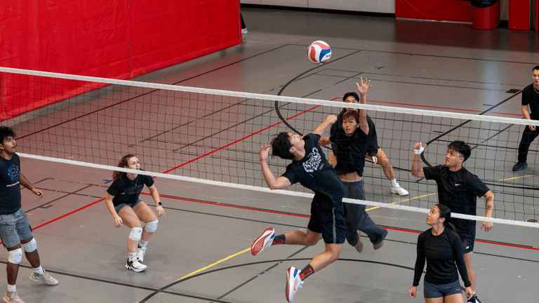 Volleyball players in action during a match on a gym court