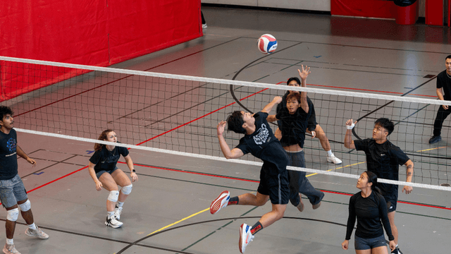 Volleyball players in action during a match on a gym court