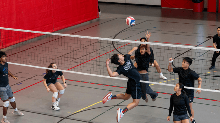 Volleyball players in action during a match on a gym court