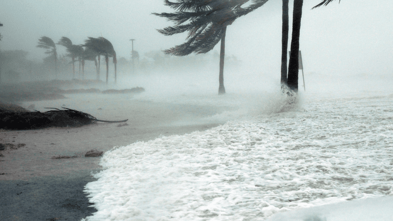 Severe storm with strong winds and waves crashing against trees and shoreline