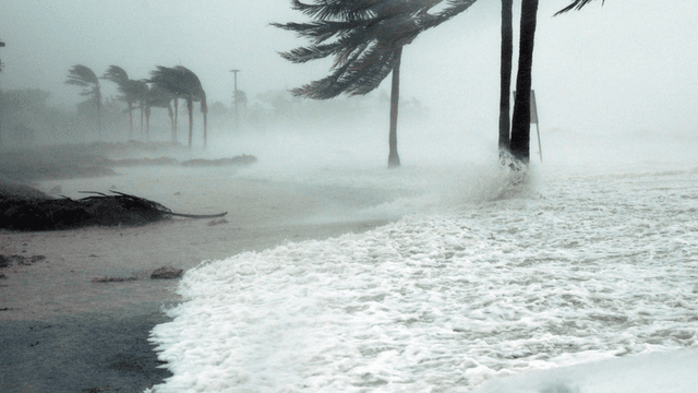 Severe storm with strong winds and waves crashing against trees and shoreline
