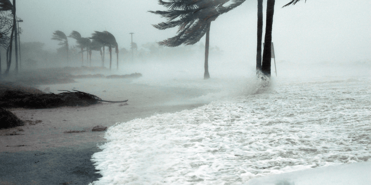 Severe storm with strong winds and waves crashing against trees and shoreline