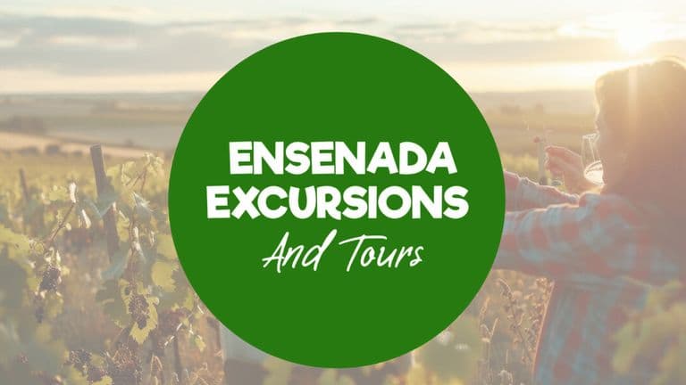 Vineyard view in Valle de Guadalupe, showcasing Ensenada Excursions and Tours, offering personalized private wine tours in Baja.