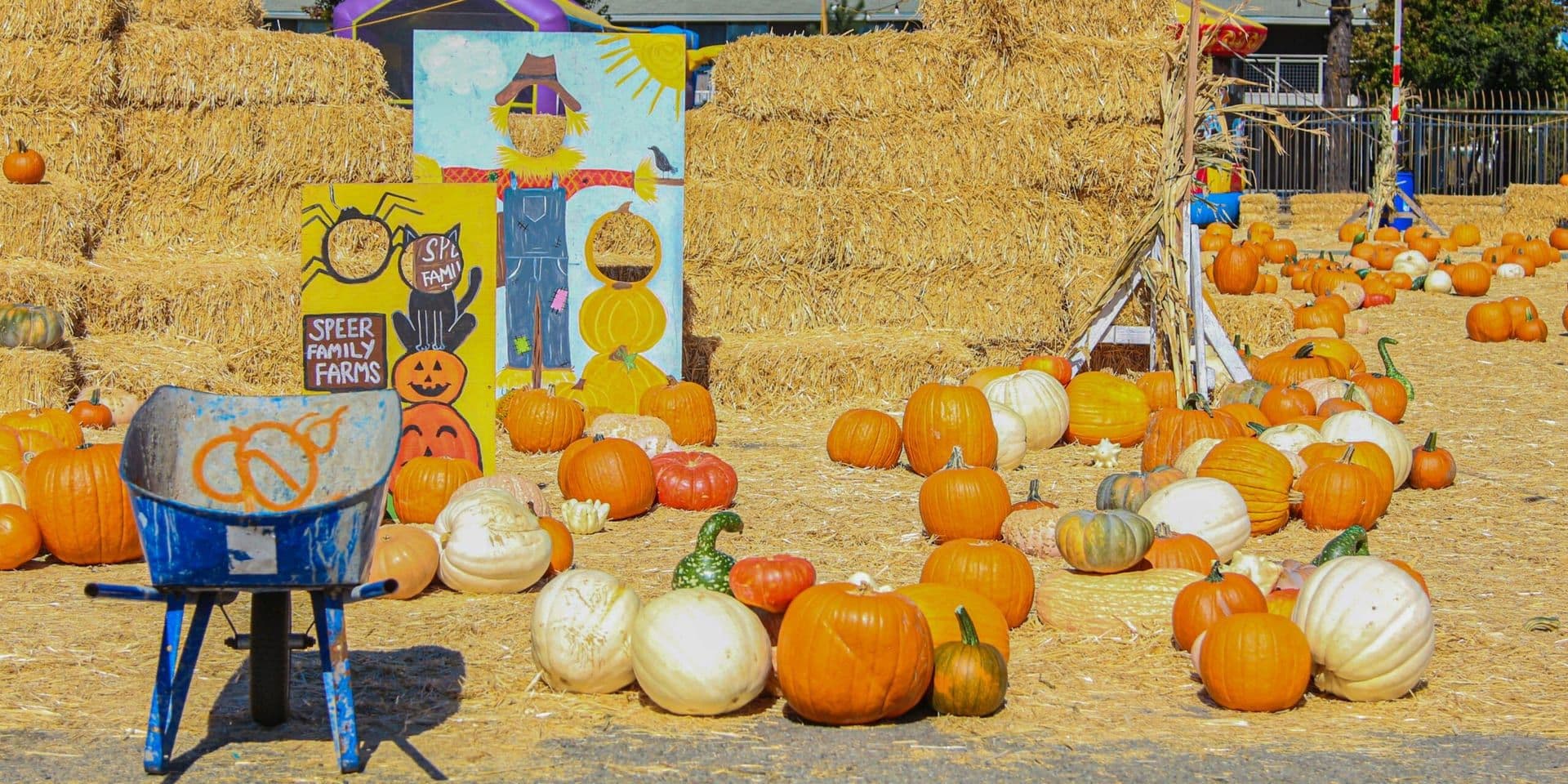 Southern California Embraces Fall with Seasonal Festivals