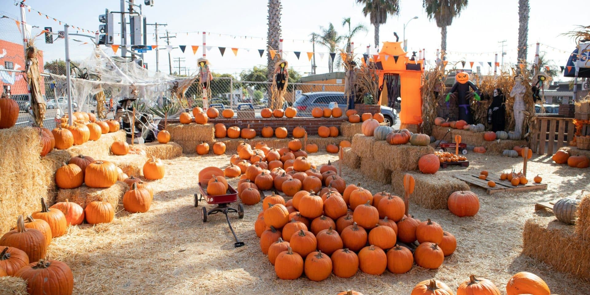 Southern California Embraces Fall with Pumpkin Patch Festivities