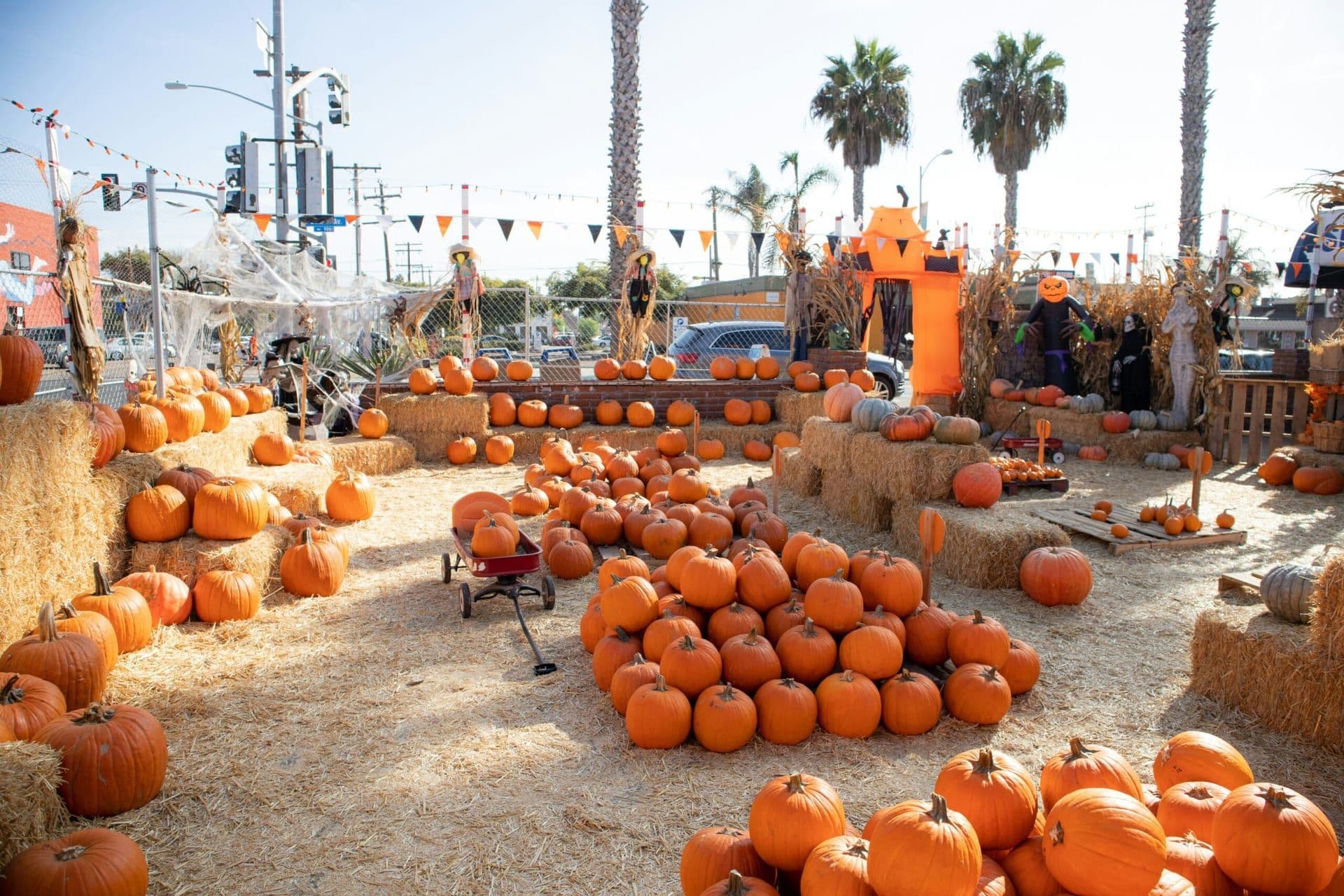 A Celebration of Harvest: The Pumpkin Festival at Los Angeles County Fair