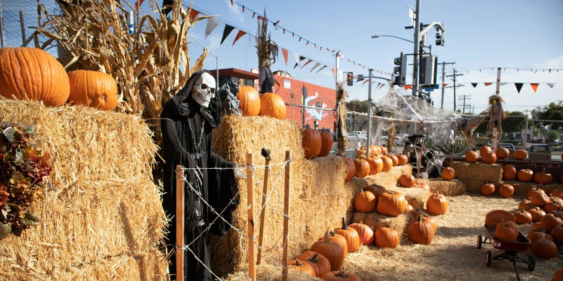 Southern California Embraces Fall Festivities