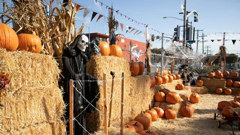 Southern California Embraces Fall Festivities
