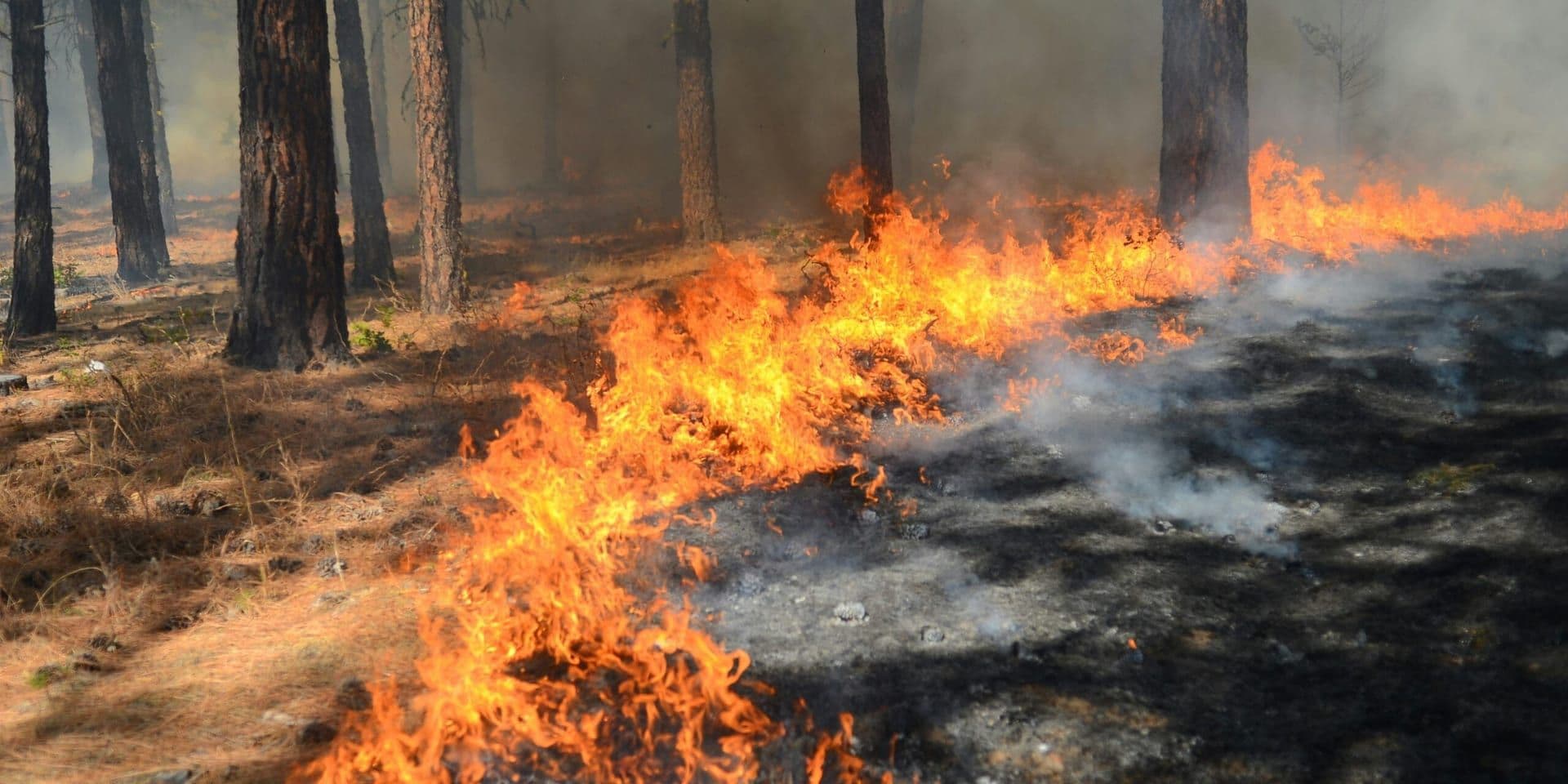 Wildfire Preparedness Initiatives Ramp Up Ahead of Southern California’s Dry Season