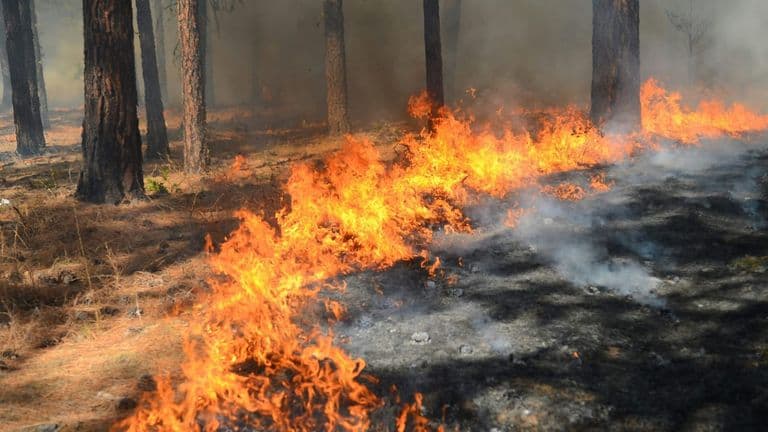 Wildfire Preparedness Initiatives Ramp Up Ahead of Southern California’s Dry Season