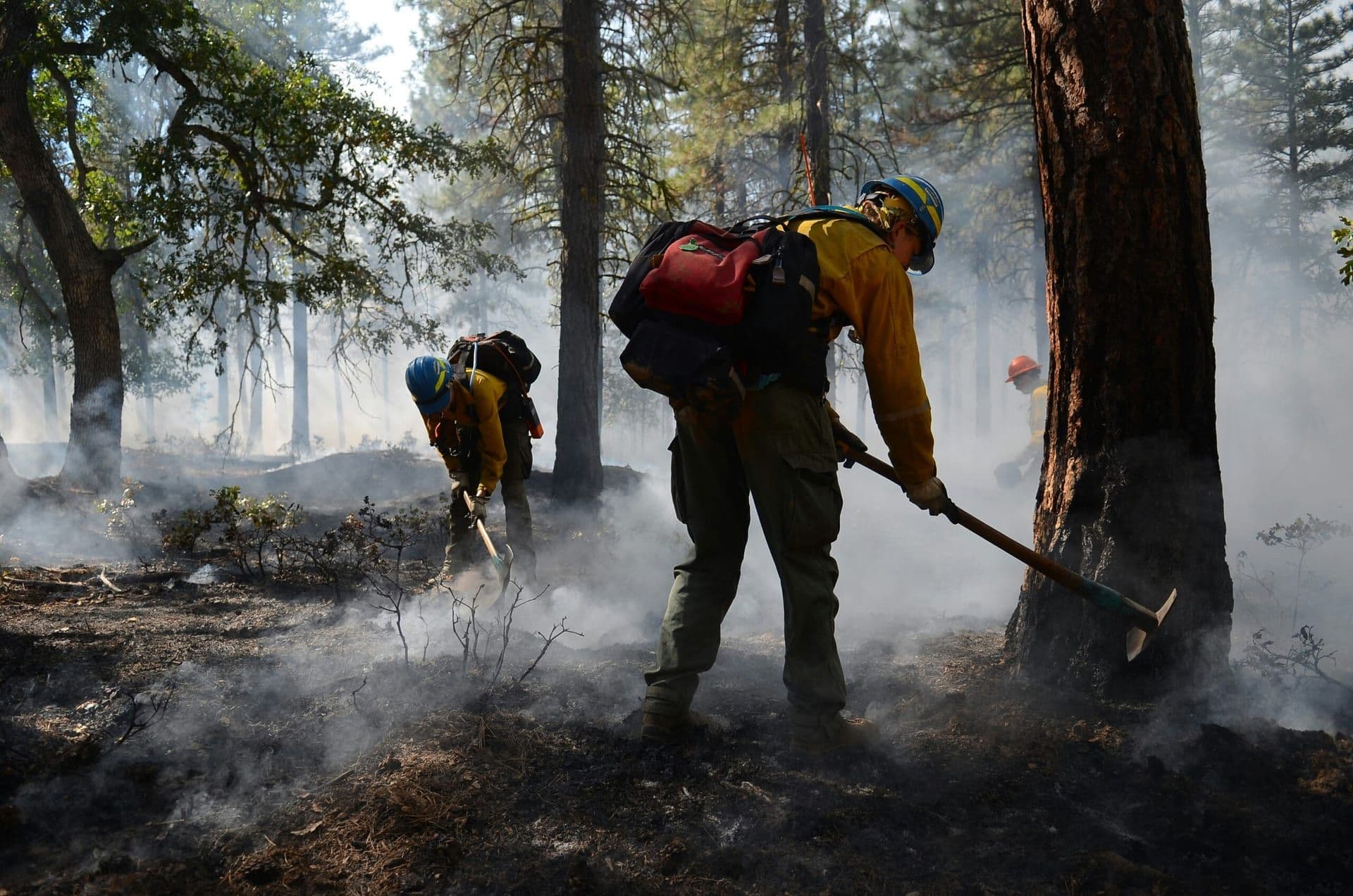 California Passes New Legislation to Address Wildfire Risk