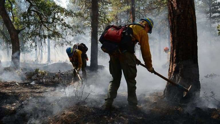 California Passes New Legislation to Address Wildfire Risk