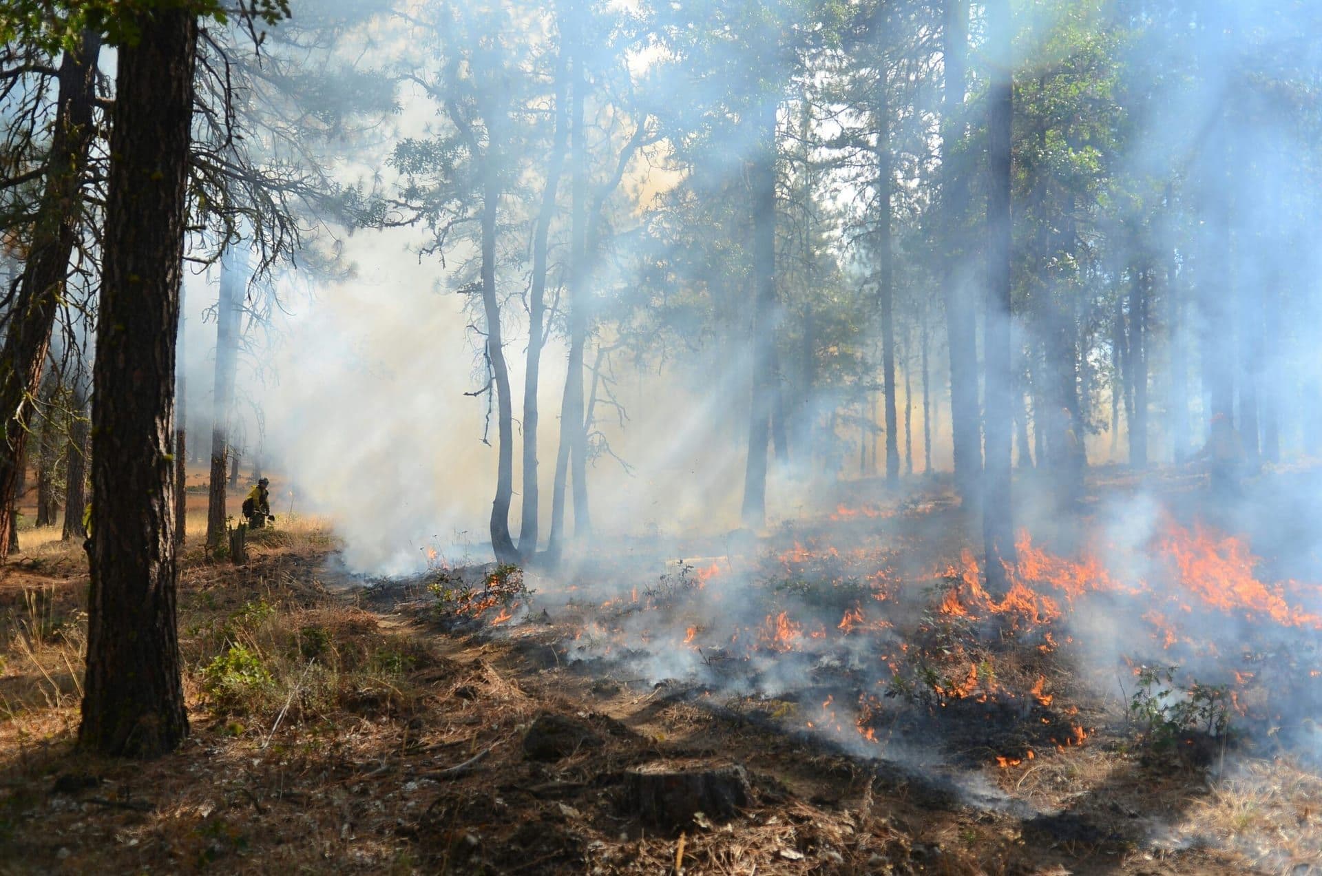 Southern California Advances Environmental Reforms to Combat Wildfire Threats