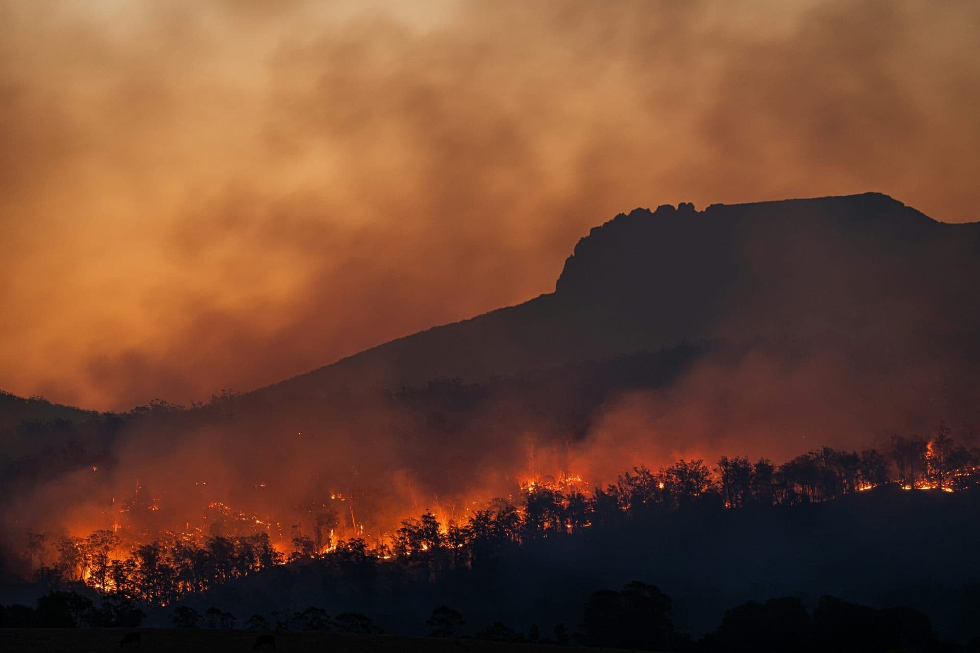 ‘How Can Our World Rethink Climate Mobility?’ Panel Discussion at the Natural History Museum
