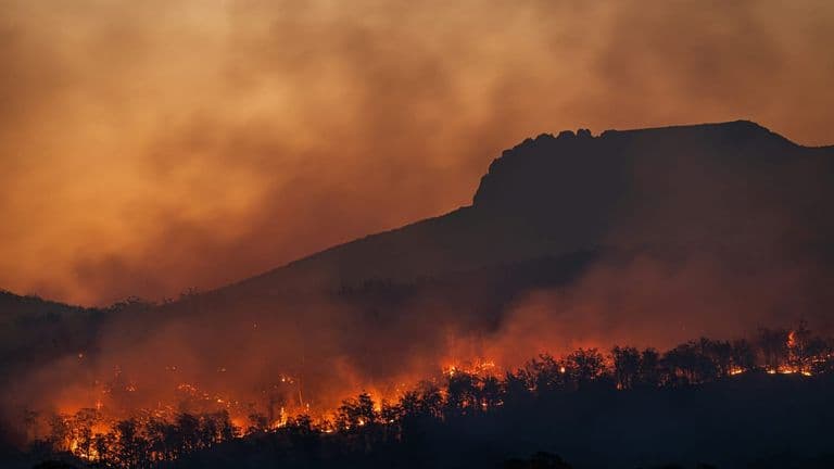 ‘How Can Our World Rethink Climate Mobility?’ Panel Discussion at the Natural History Museum