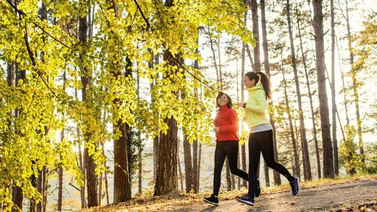 Fall Wellness and Eco‑Living Trends Gain Momentum Across the U.S.