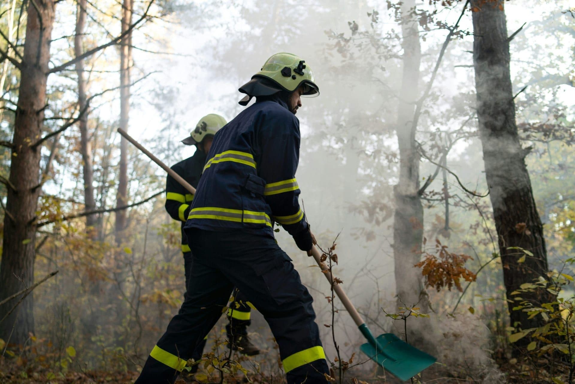 Riverside County on High Alert: Wildfires Prompt State of Emergency